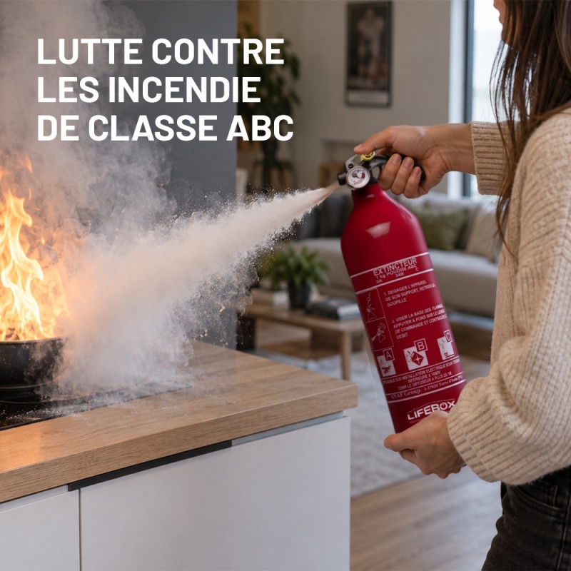 Extincteur 1kg a poudre pour la maison