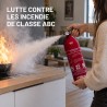 Extincteur 1kg a poudre pour la maison