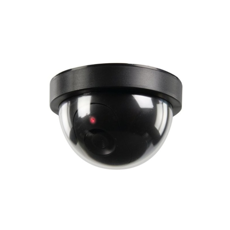 Camera dome factice, camera factice
