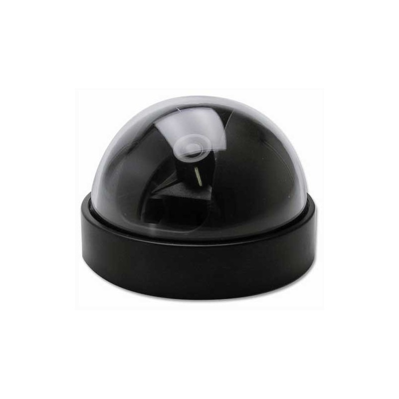 Camera dome factice, camera factice